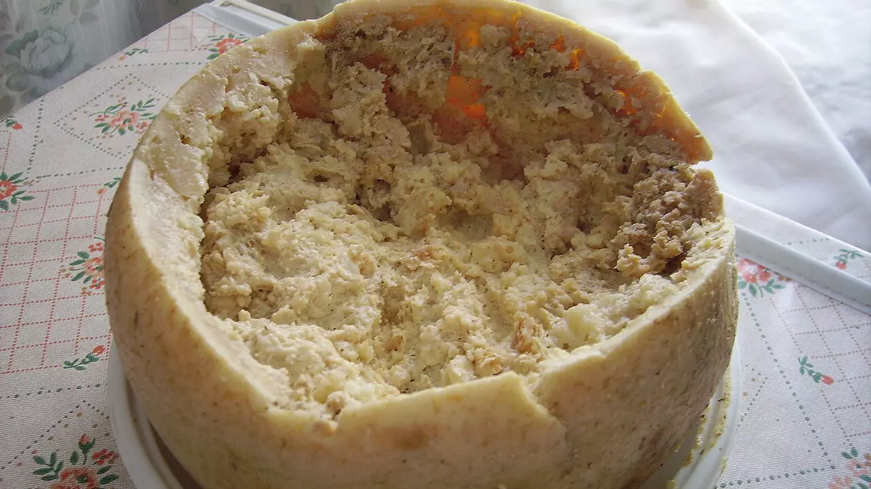 casu marzu, brânza cu viermi din Sardinia