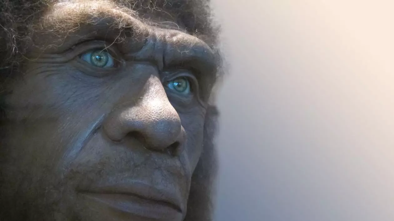 Reproducere a chipului unui Neanderthal, sursă foto: Profimedia