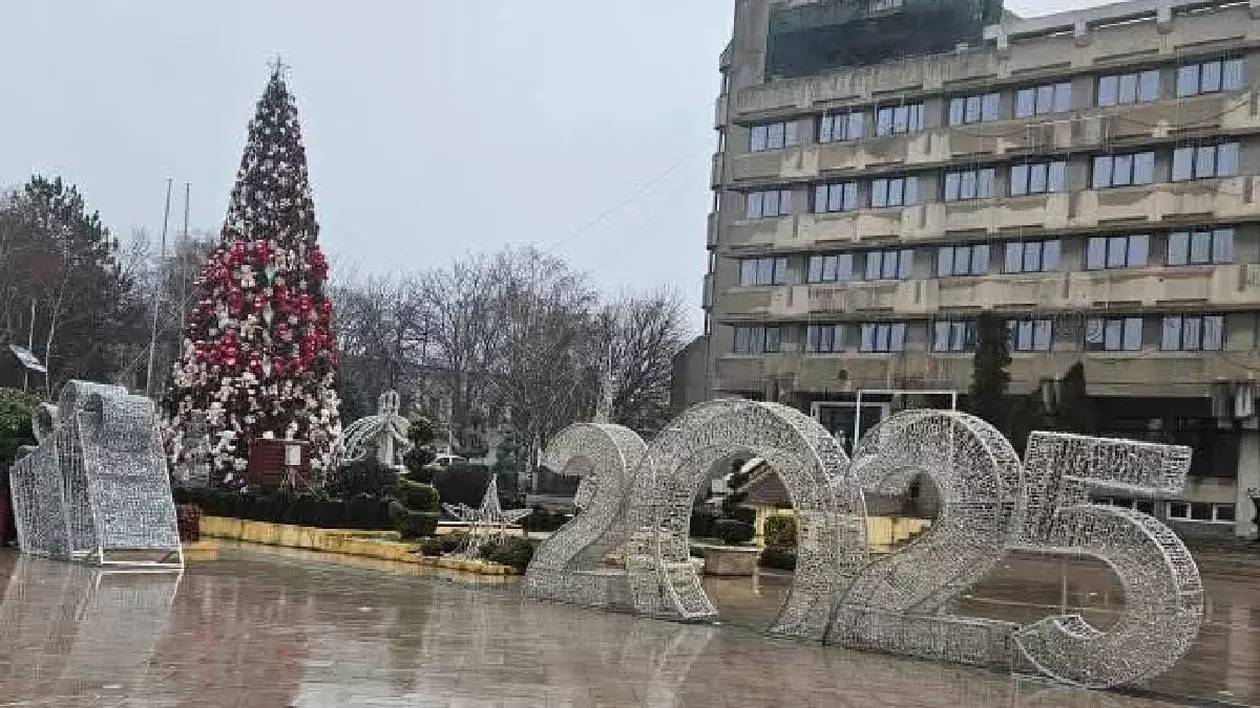 Bradul de Crăciun din Brăila