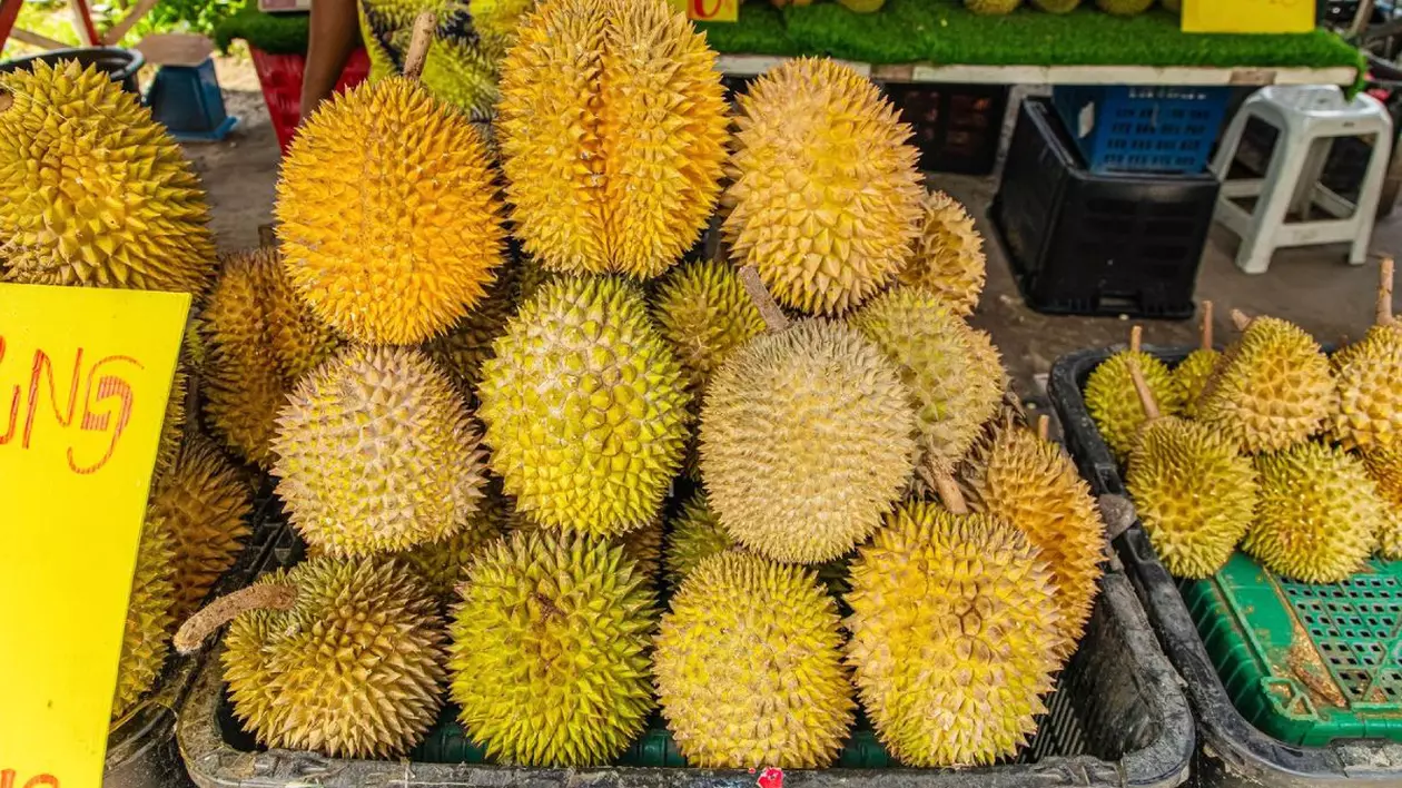 Durianul este fructul comestibil al mai multor specii de arbori aparținând genului Durio. Există 30 de specii recunoscute, dintre care cel puțin nouă produc fructe comestibile