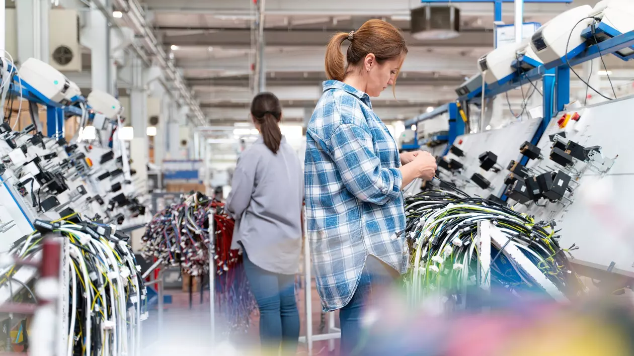 Femei lucrează intr-o fabrică de cabluri auto shutterstock_2492069823.jpg