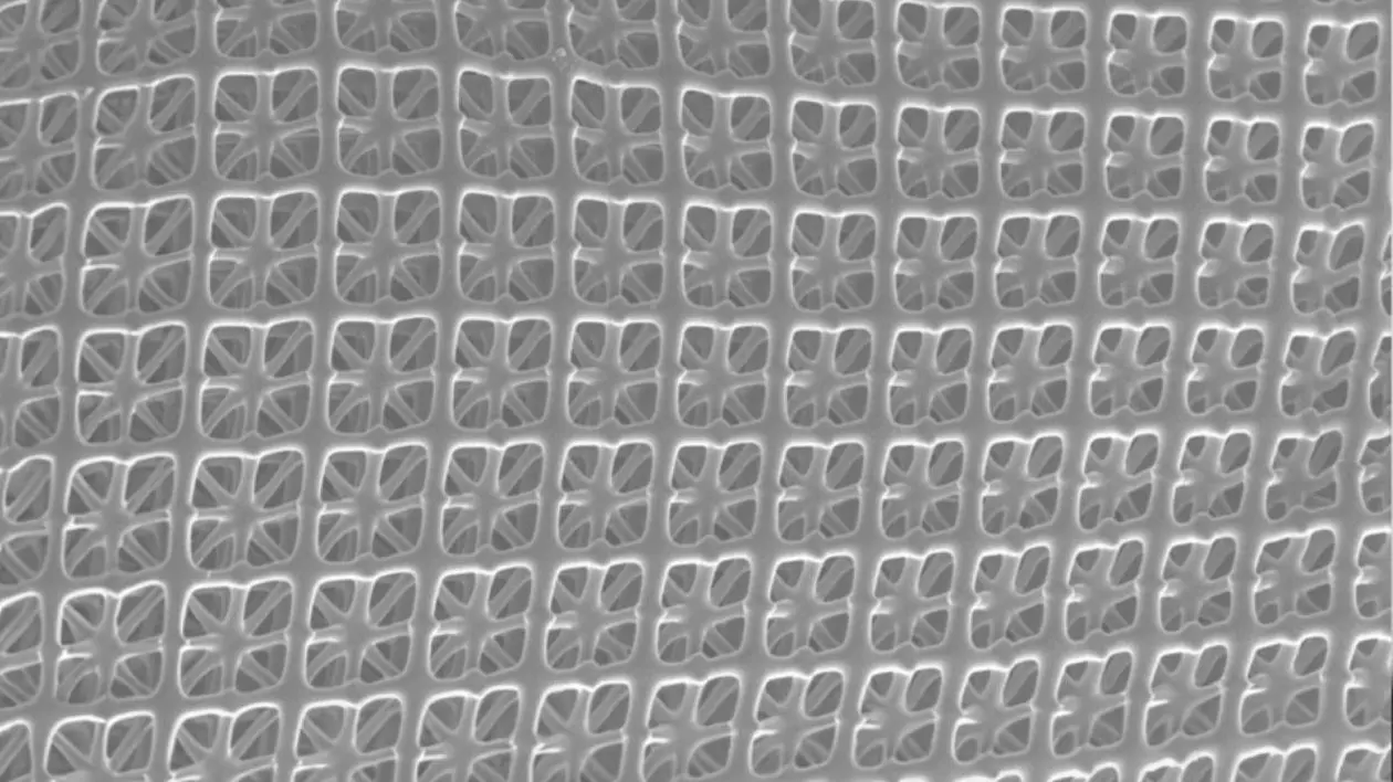 Noul material creat de AI,Fotografii de Peter Serles, Universitatea Toronto