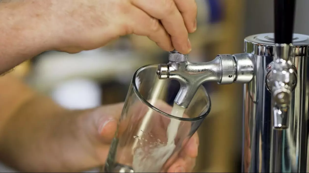 Un barman umple cu grijă o halbă de bere