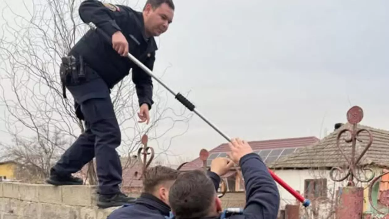 Jandarmii s-au urcat pe gard cu dispozitive speciale