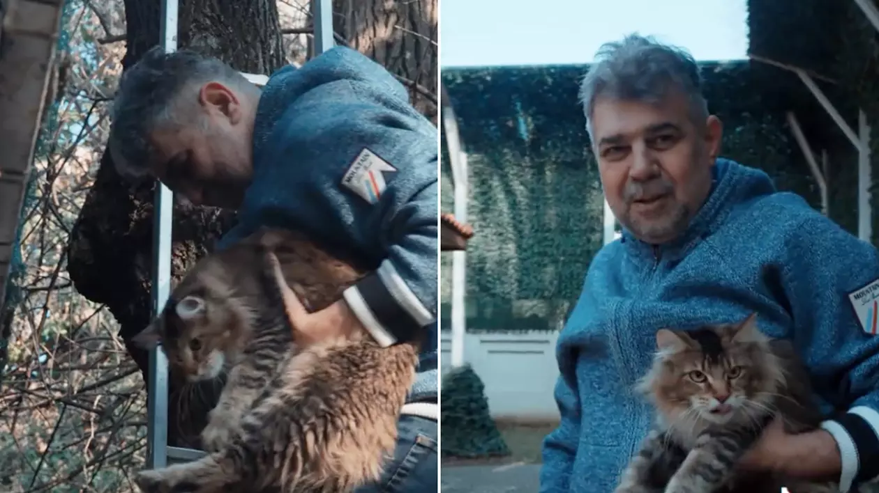 Marcel Ciolacu si pisica sa