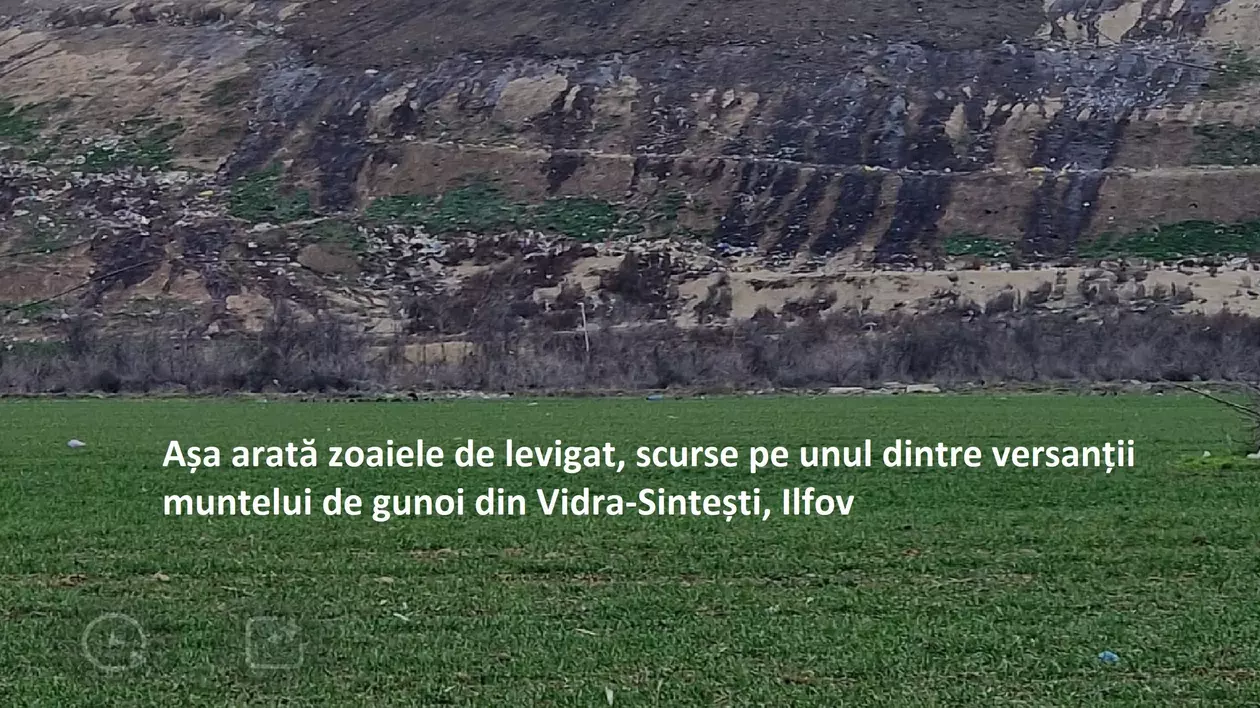 O asociație de mediu reclamă încălcarea măsurilor impuse Eco Sud și cere intervenția autorităților