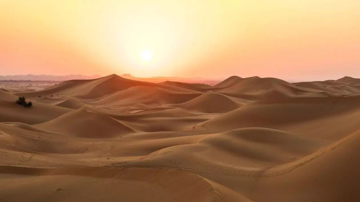 Peisaj de apus de soare cu dune, Emiratele Arabe Unite Foto: Profimedia Images