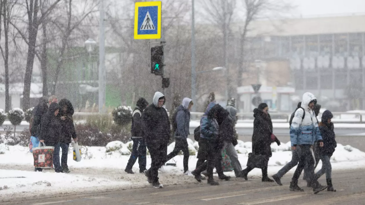 Pietoni care traversează pe trecere