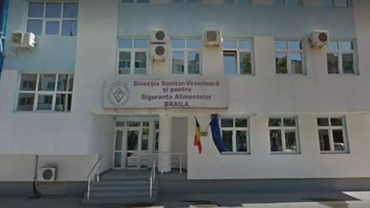 Bătaie în sediul DSV Brăila între doi medici veterinari