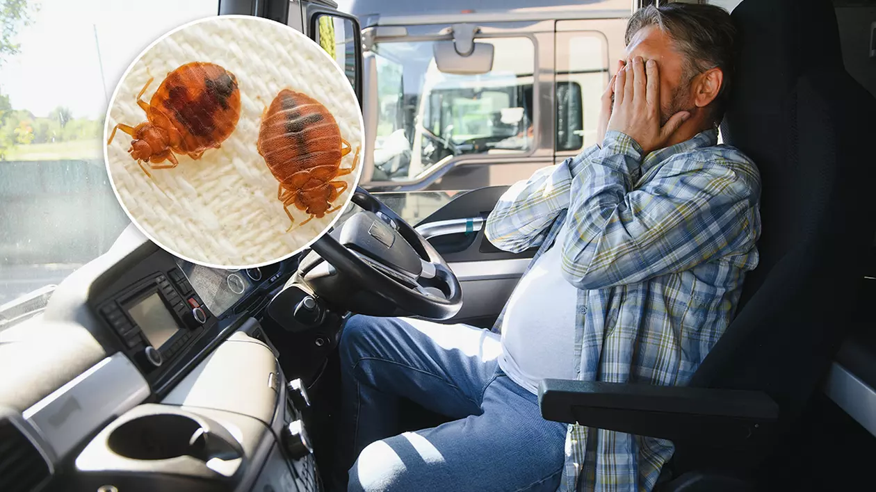 Sofer de TIR infestat cu plosnite în cabina camionului