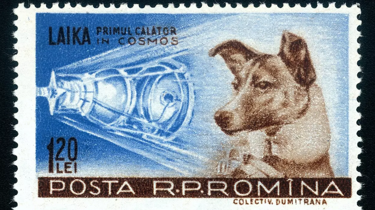 Timbru cu cățelușa Laika.