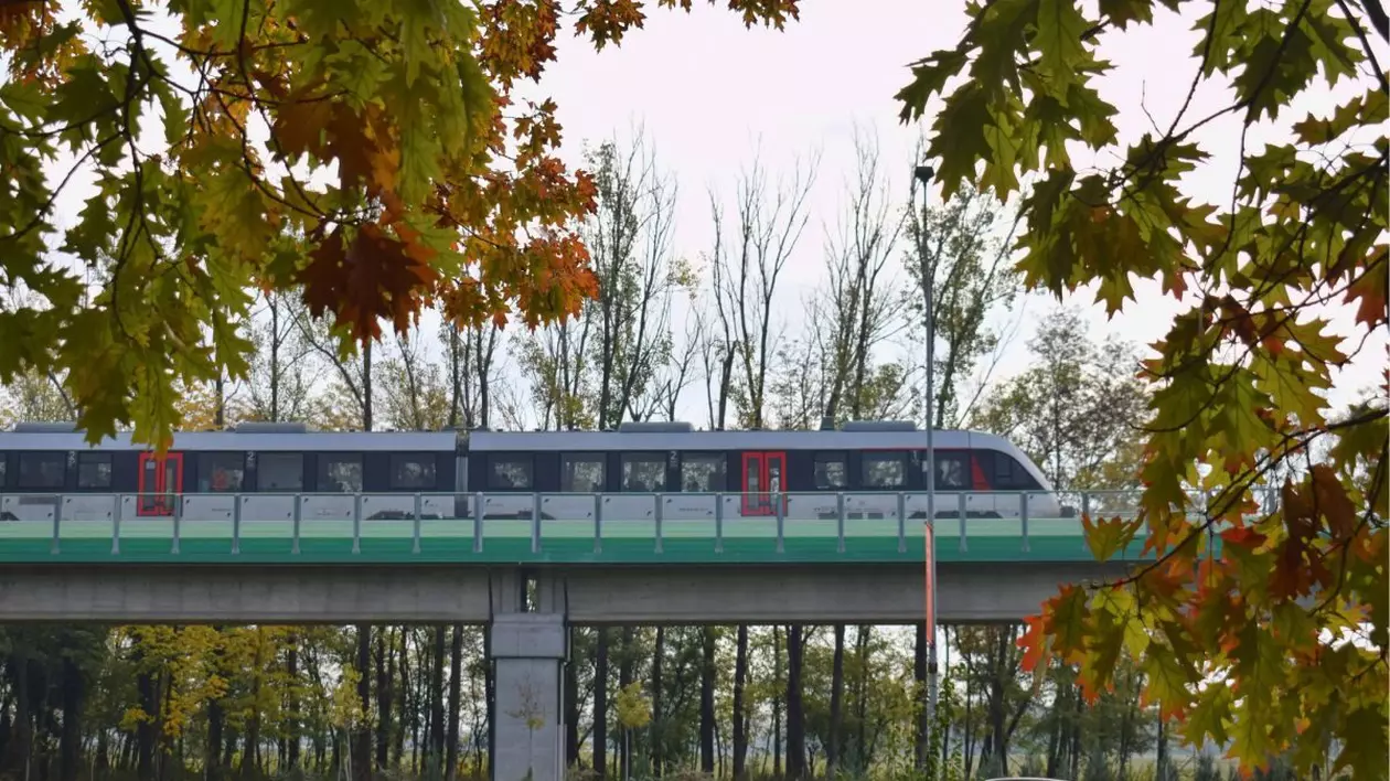 Un tren metropolitan care spre Aeroportul Otopeni, iar în jur se văd copaci cu frunze galbene-ruginii