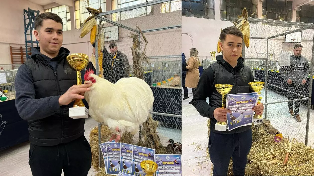 tanar cu un cocos alb in brate, la o expozitie de pasari din Bistrita, langa el, mai multe diplome