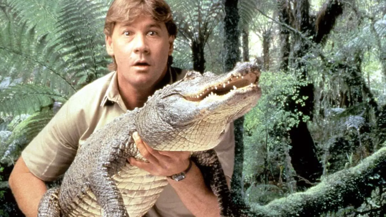 VÂNĂTORUl DE COCODILI, Steve Irwin cu un crocodil, 1996-2006, Sursa foto_ Profimedia