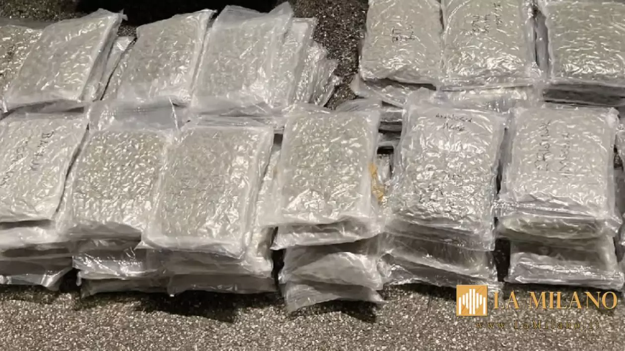 Pachete cu 90 kilograme de marijuana, ascunse în podeaua unui TIR, de un șofer român, în Italia