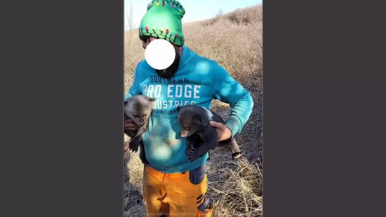 Un bărbat îmbrăcat într-un hanorac de culoare verde și pantaloni portocalii ține în brațe doi pui de urs