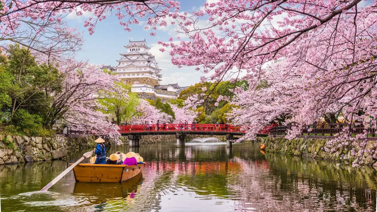 O barcă cu oameni pe un lac, mai mulți cireși infloriți în Japonia, iar în depărtare se vede sastelul Himeji