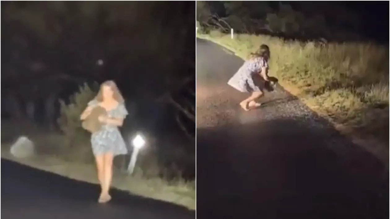 colaj foto cu o femeie care prinde un pui de wombat sălbatic