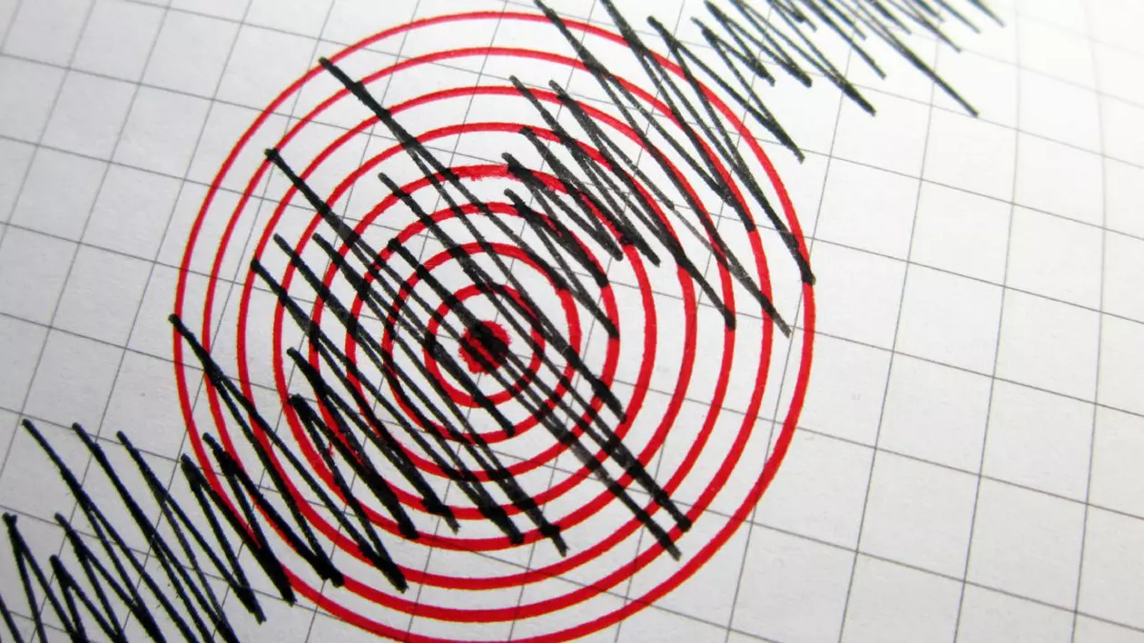 Grafic cutremur. Imagine cu caracter ilustrativ Foto: Shutterstock