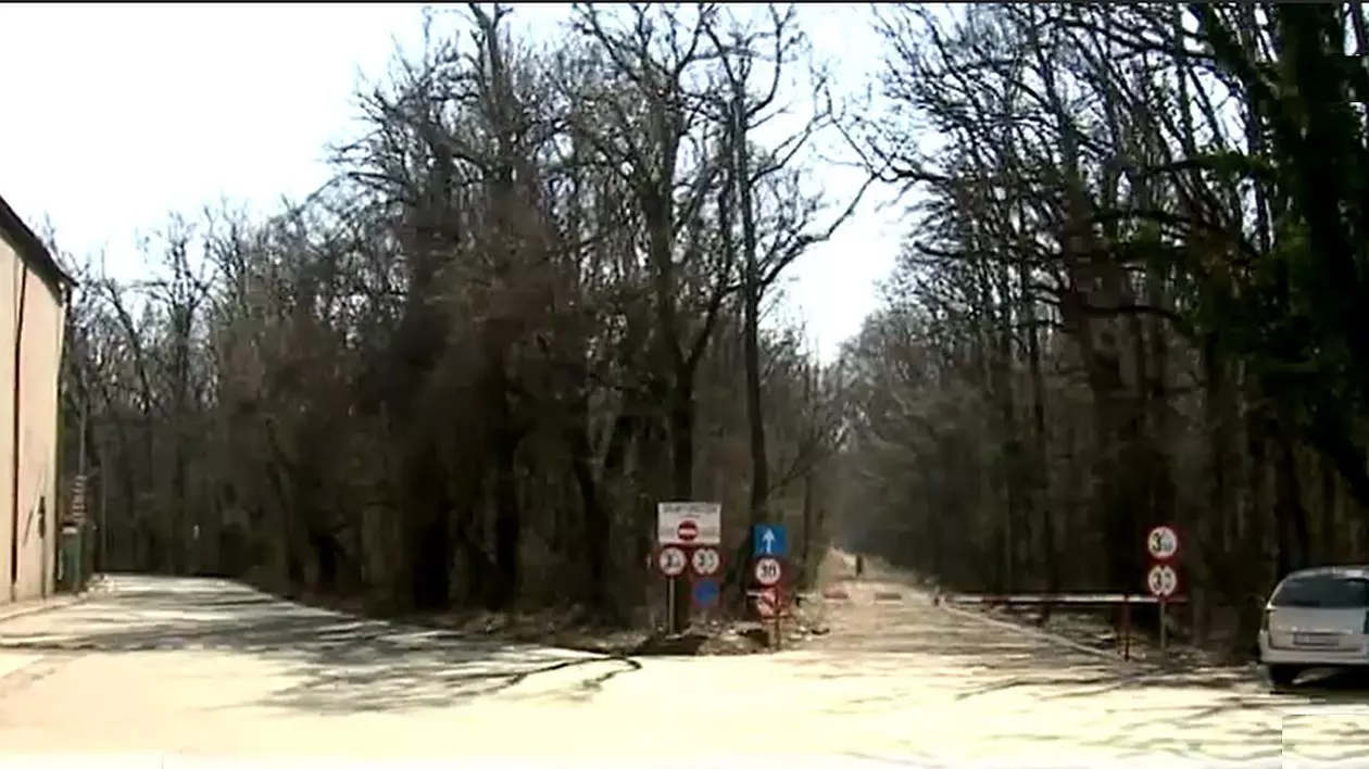 O răspântie de două drumuri la pădure, la cel din dreapta se vede o barieră pusă pe unde nu pot trece mașinile, iar un autoturism este parcat acolo
