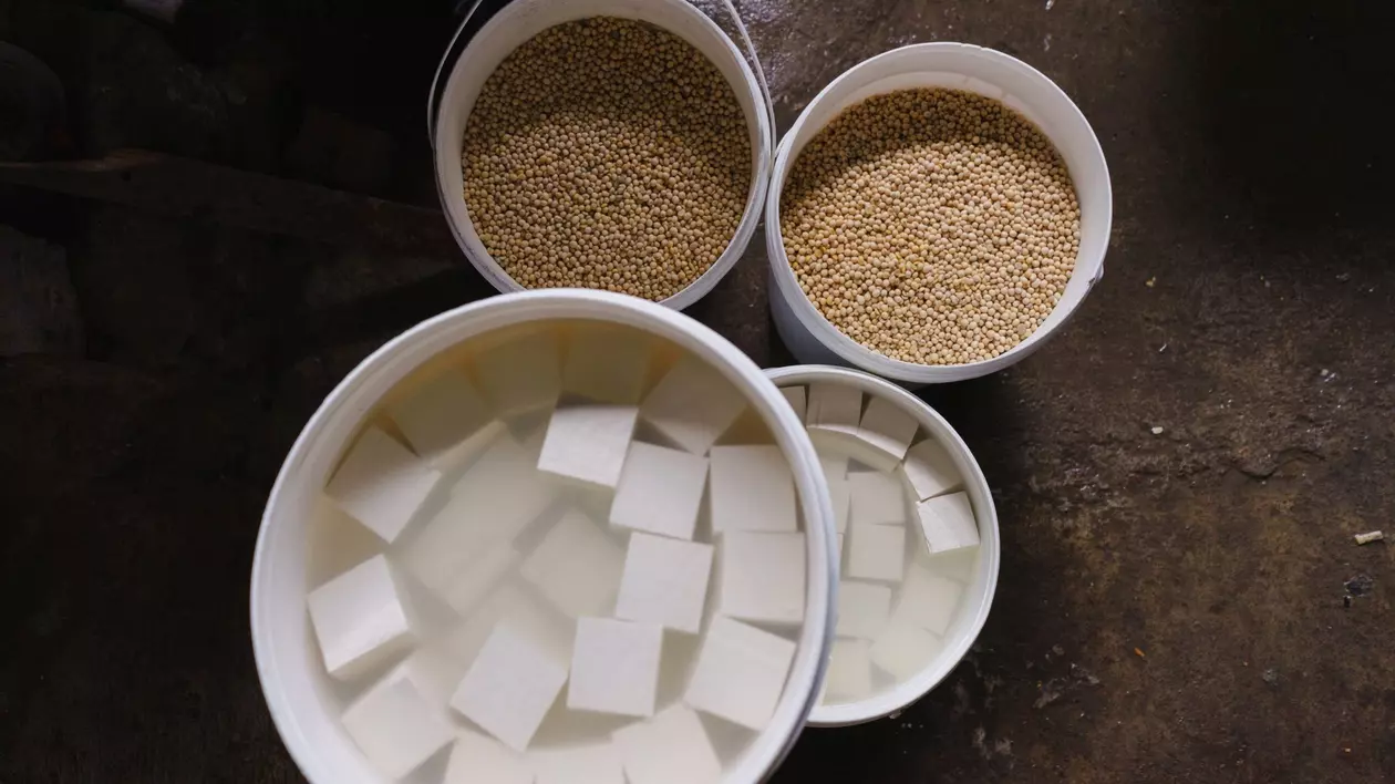 Găleți de tofu și boabe de soia la o mică fabrică din Sleman, Indonezia. FOTO: Hepta.