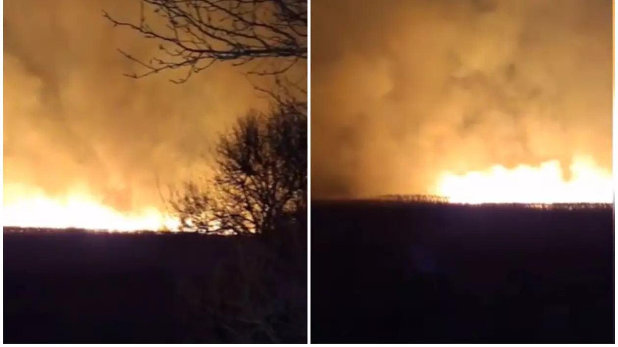 Incendiu puternic de vegetație