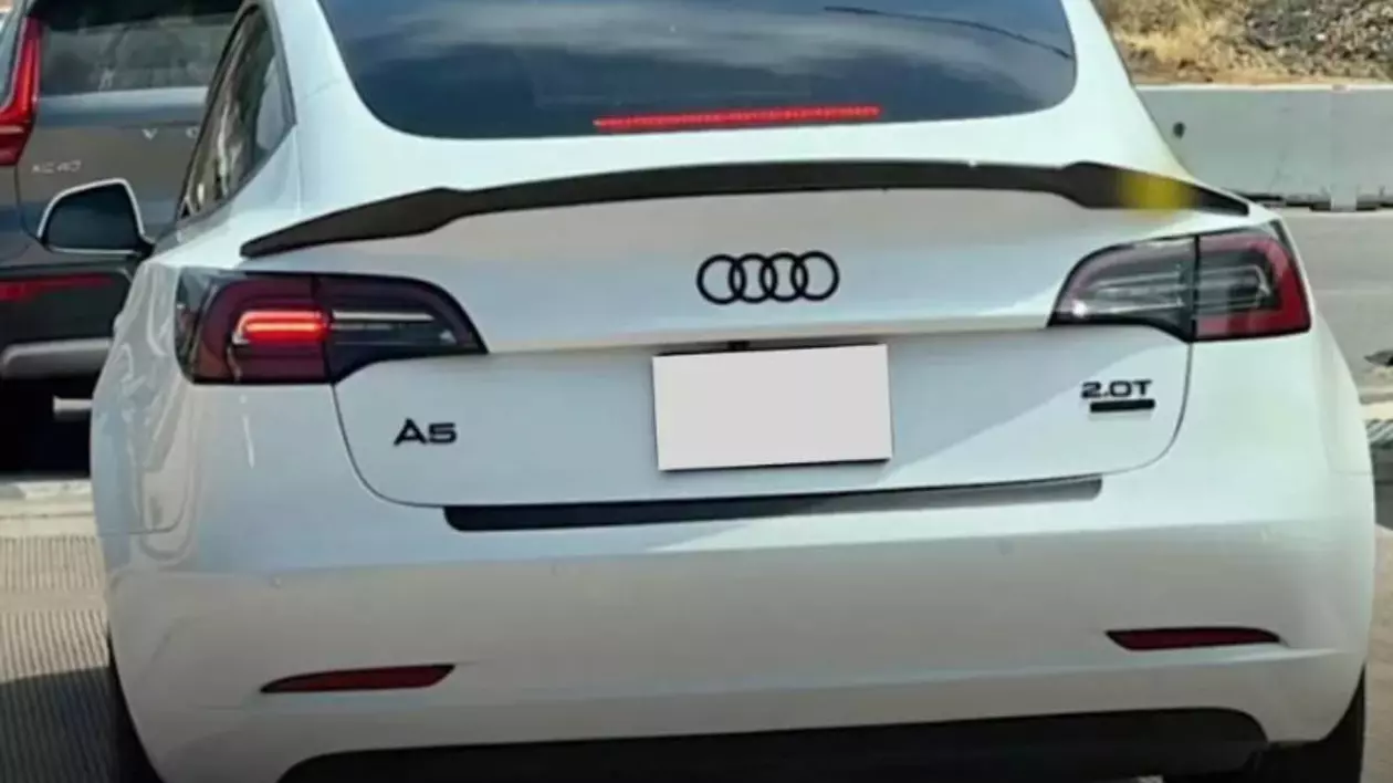 masina alba tesla fotografiata din spate cu logo-ul brandului audi