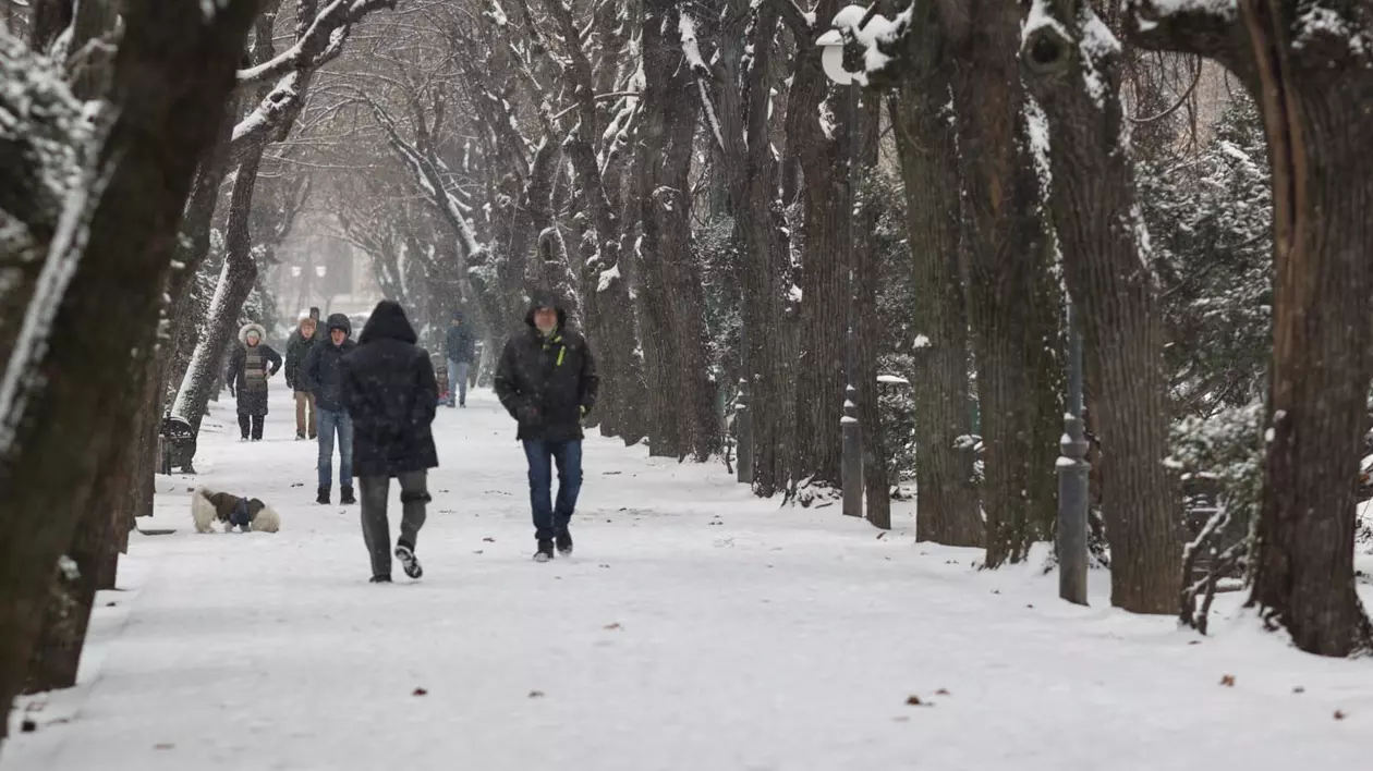 Oameni surprinși în timp ce se plimbă pe o alee acoperită de zăpadă, într-un parc