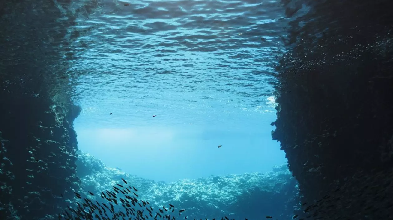 Școală de pești care înoată sub apă, Vava'u, Tonga, Oceanul Pacific