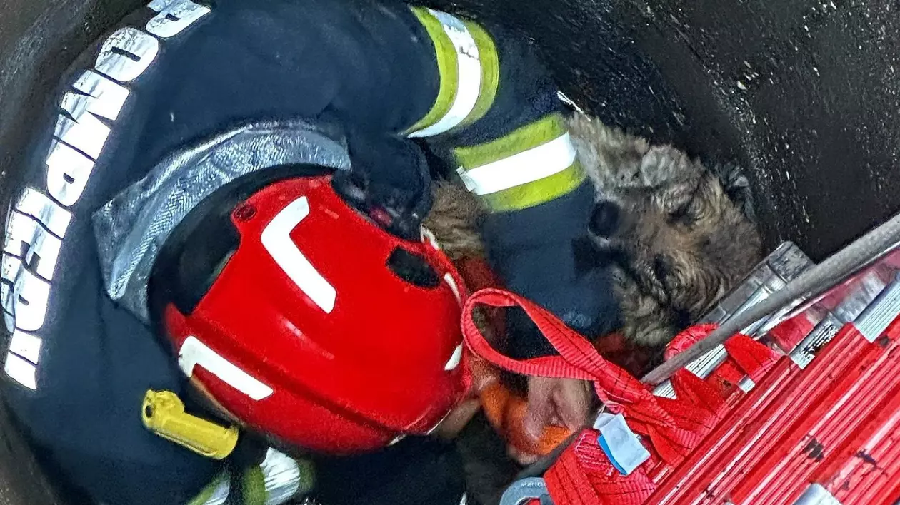 Poză cu pompierul din Zărnești, județul Brașov, aflat în fântână, în timp ce salvează un cățel