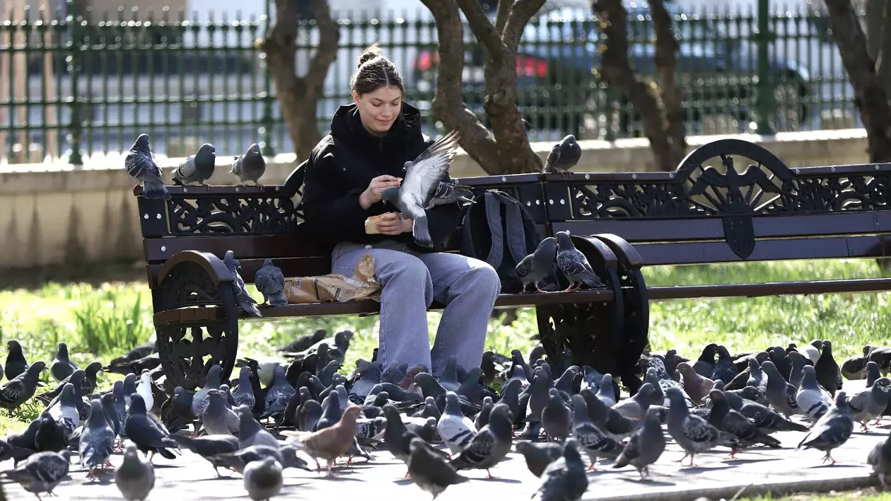 Tânără surprinsă în timp ce dă mâncare unor porumbei