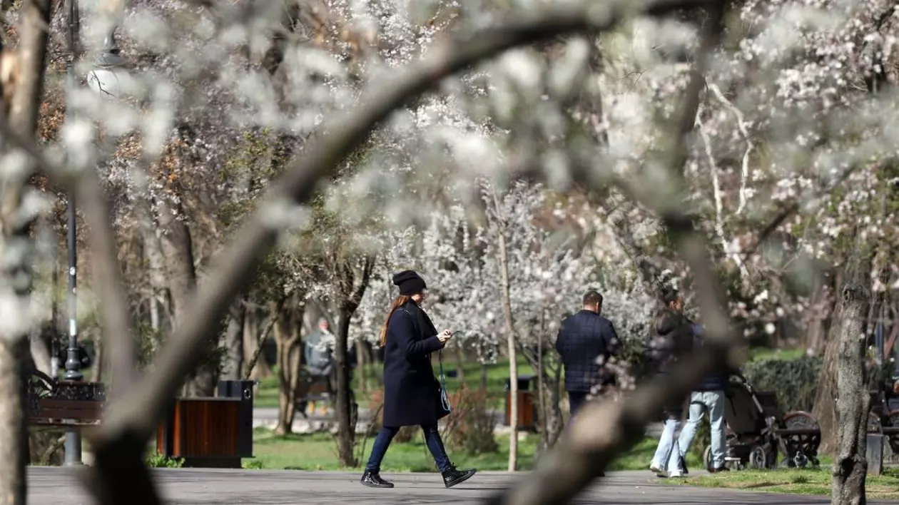 Câțiva oameni se plimbă prin parcul Cișmigiu din București, unde au înflorit copacii și se văd florile mici albe