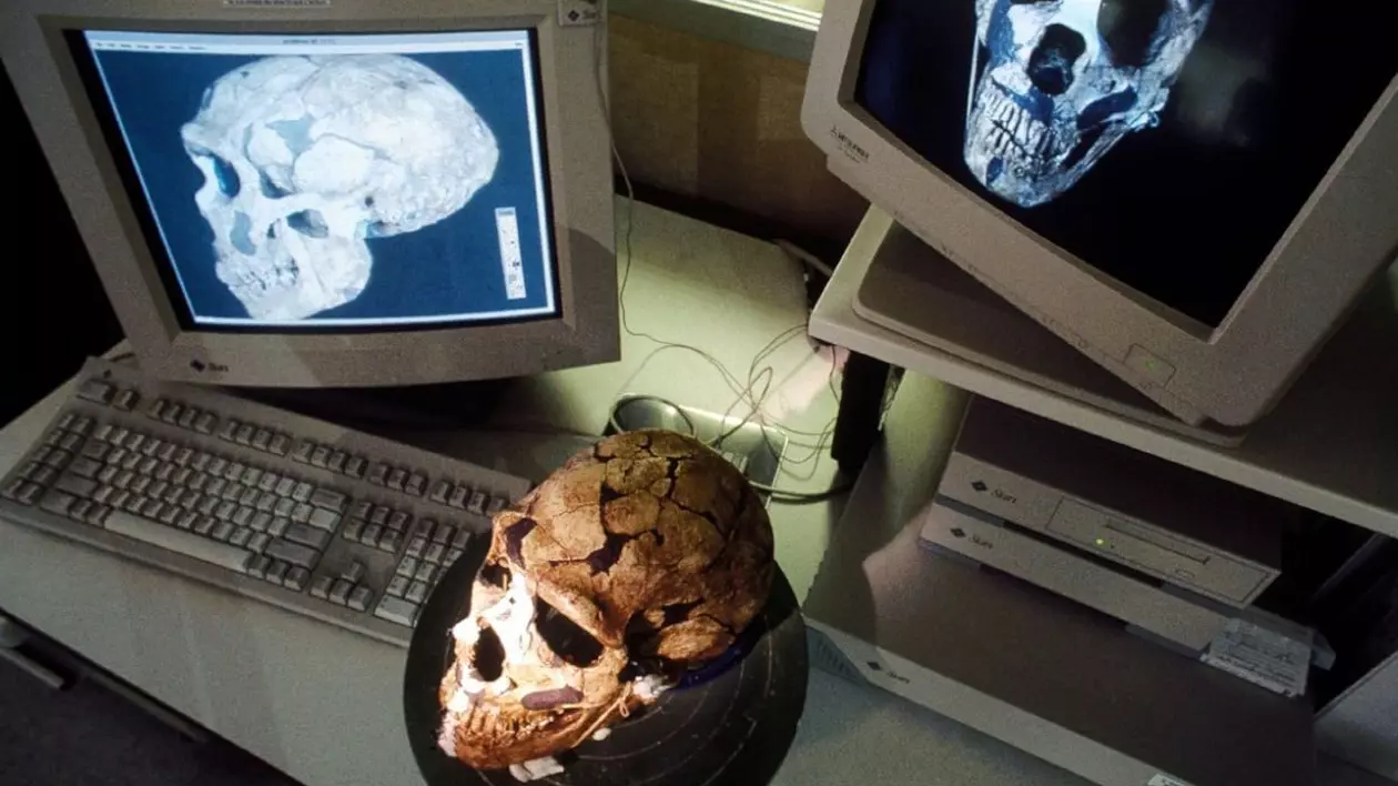 Reconstrucția pe computer a unui craniu de Neanderthal (Homo neanderthalensis) Reconstrucție de Elisabeth Daynes a Studioului Daynes, Paris, Franța Foto: Profimedia Images