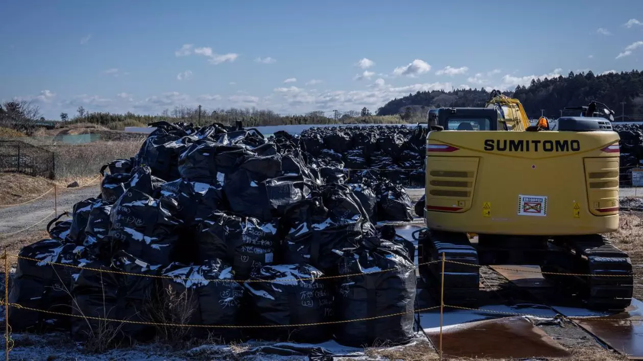 Saci de sol contaminat cu radiații sunt adunați pe un teren de depozitare temporară din orașul Okuma din prefectura Fukushima la 19 februarie 2025.
