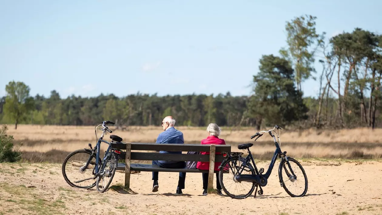 Un cuplu de pensionari cu biciclete se odihnește pe o bancă în rezervația naturală „Strabrechtse Heide” din Țările de Jos