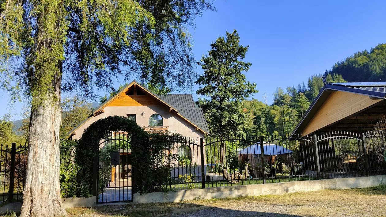 Casa politist Bontas, Gaina