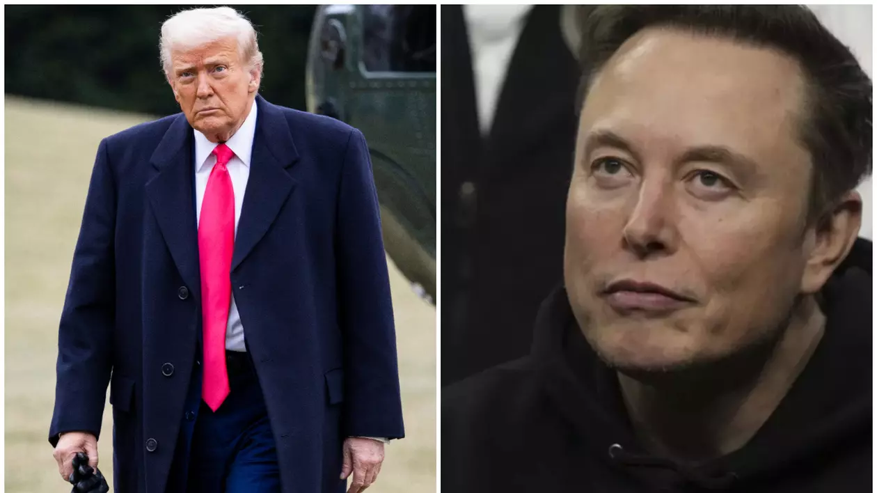 În imagine este ilustrat Donald Trump, în partea stângă, îmbrăcat într-un palton închis la culoare, o cămașă albă și o cravată roșie, iar în partea dreaptă este Elon Musk, îmbrăcat într-un hanorac negru