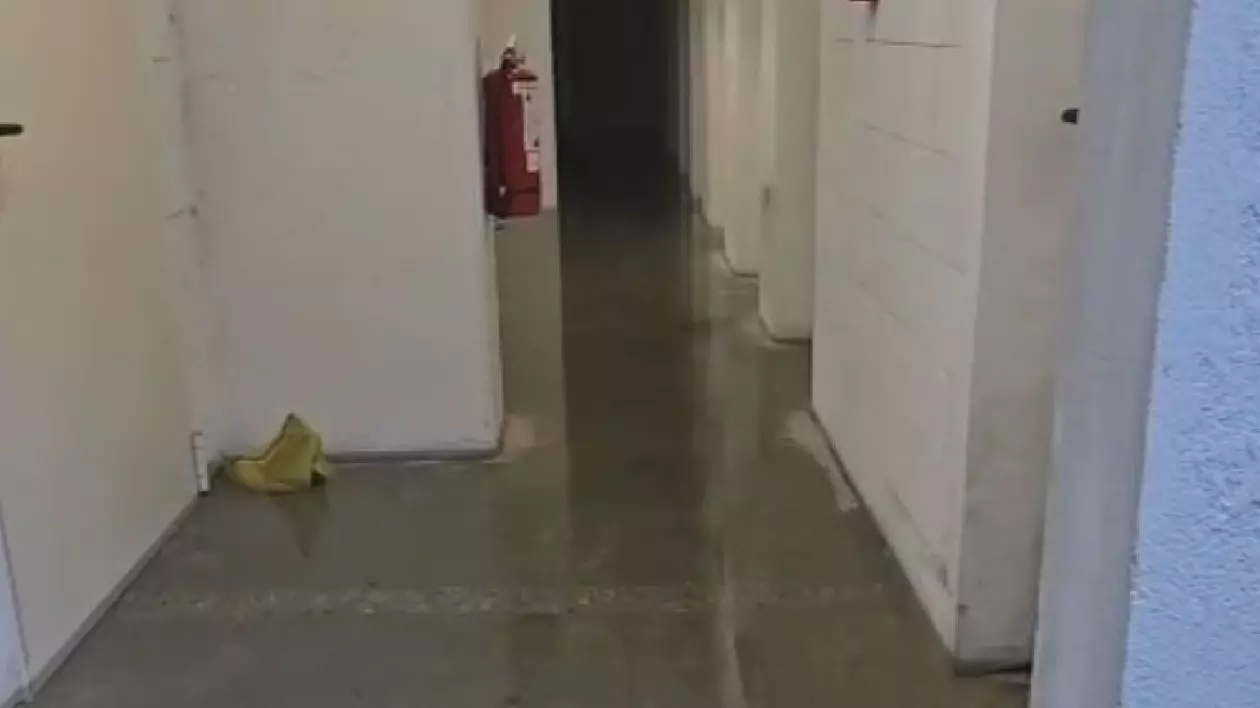Inundații într-un cartier de lux din centrul Timișoarei, unde un apartament costă 3.000 de euro pe metru pătrat: „E a șaptea oară”