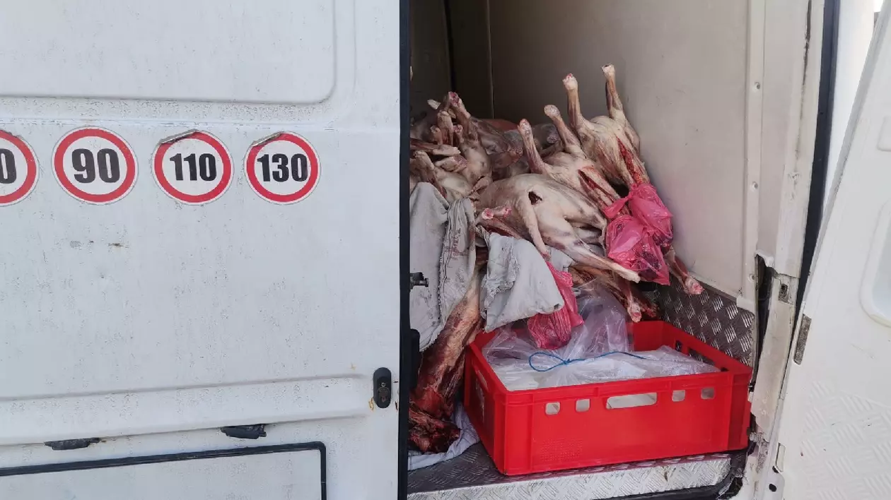o mașină albă, o ladă roșie și carne de miel