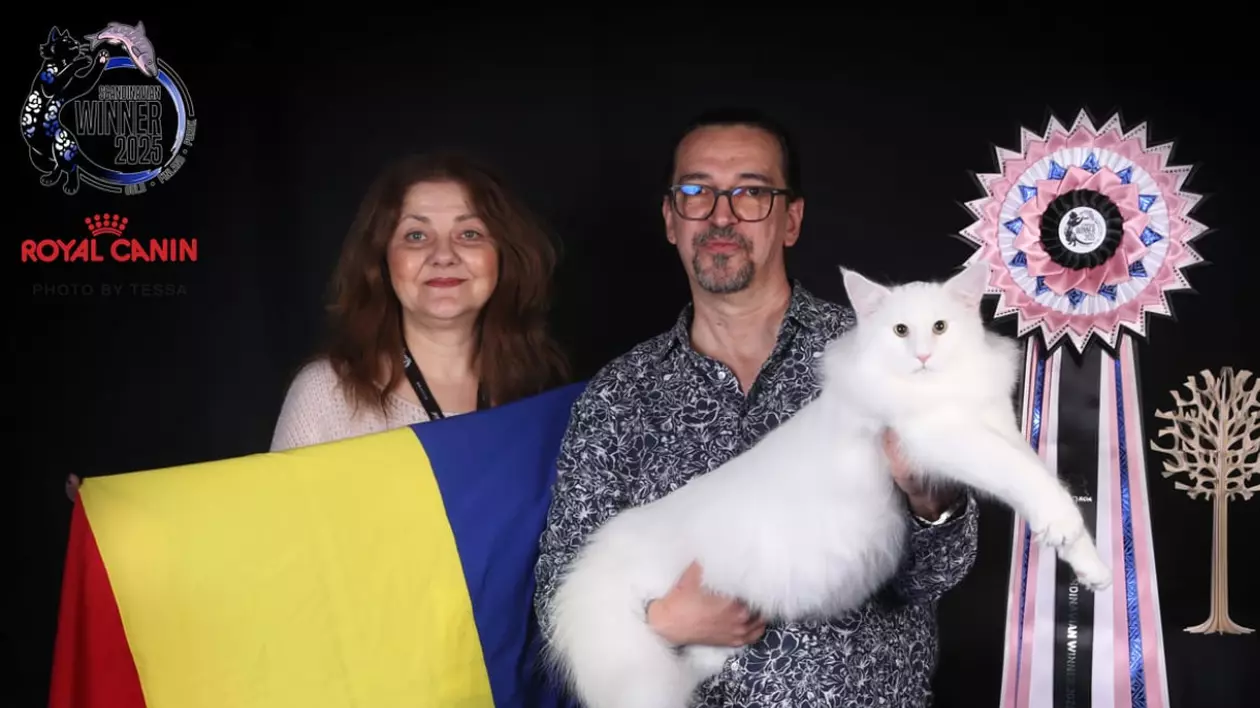 În imagine este ilustrată o femeie care ține drapelul României în mână, iar în dreapta este un bărbat care ține un motan alb în brațe