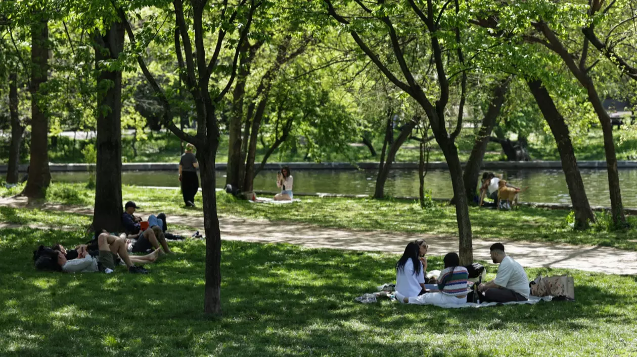 În imagine sunt ilustrați oameni care stau pe pături, pe iarbă, în parc
