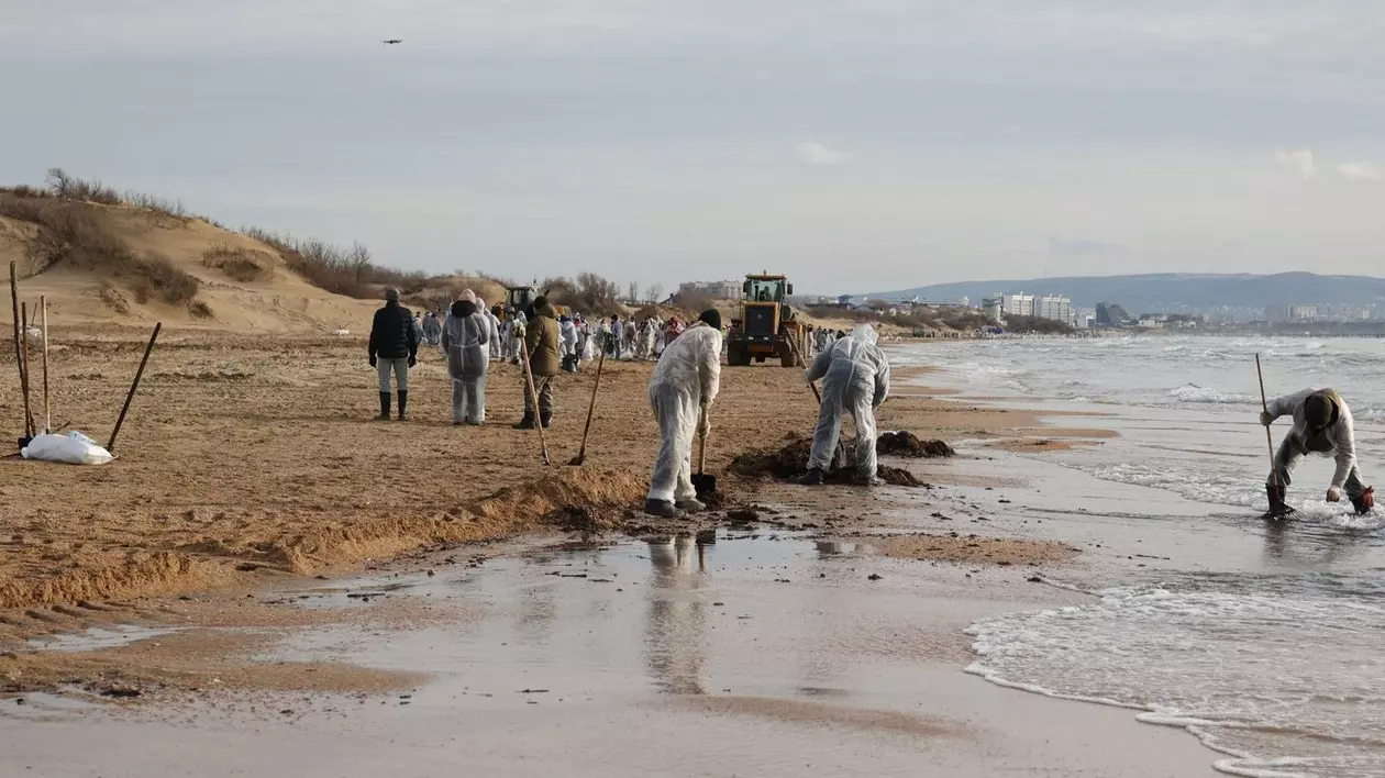 Operațiuni de curățare a plajei din Anapa, ținutul Krasnodar Foto: Profimedia