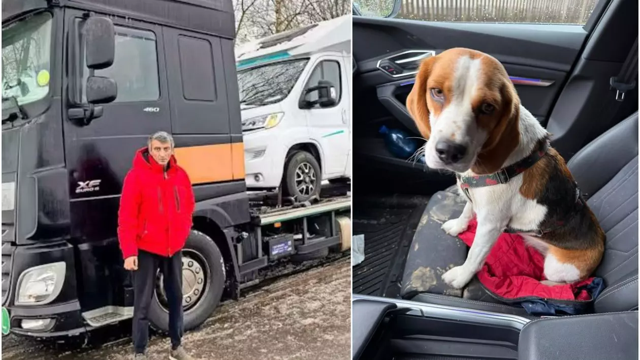 Șoferul român de TIR, îmbrăcat cu o geacă roșie, lângă camionul său care se defectase. Cățelul care s-a pierdiut de stăpânul său, șofer de TIR, a fost salvat de un primar din Germania