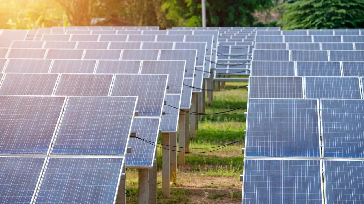 Panouri fotovoltaice instalate pe un câmp, unde se vede iarba verde, iar din stânga bate o rază de soare