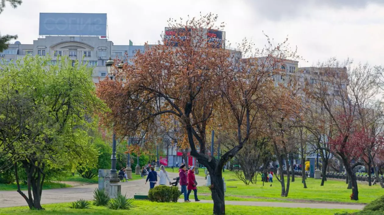 Imagine creativă cu un parc din București, unde copacii sunt înfloriți
