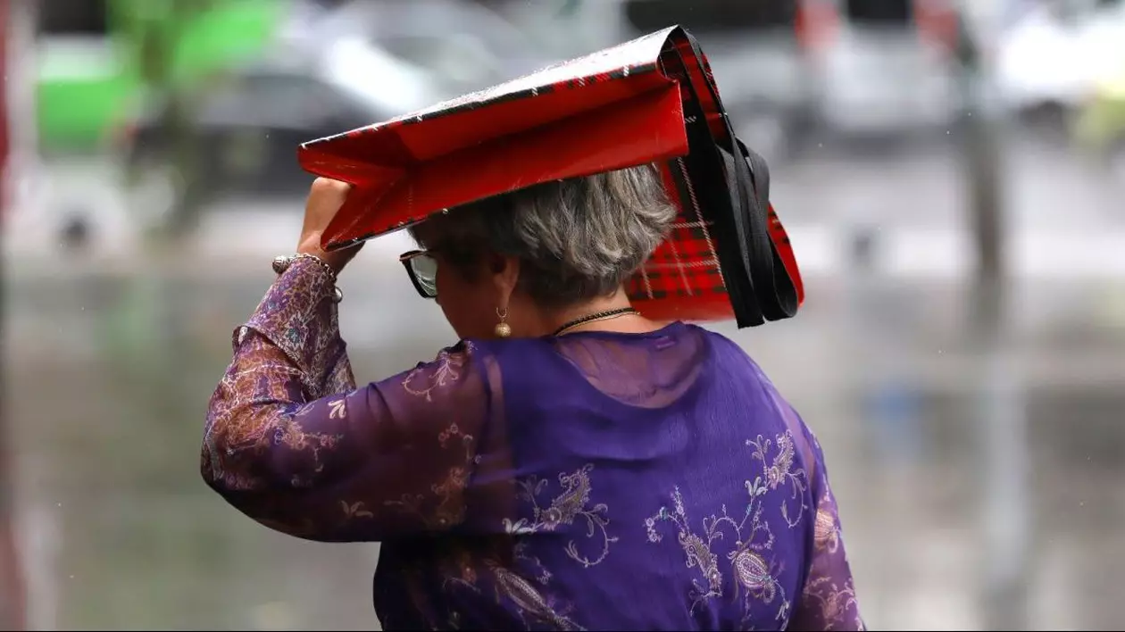O femeie, fotografiată cu spatele, merge pe stradă și a prins-o ploaia, astfel că își ține cu mâna o sacoșă cu care își acoperă capul.