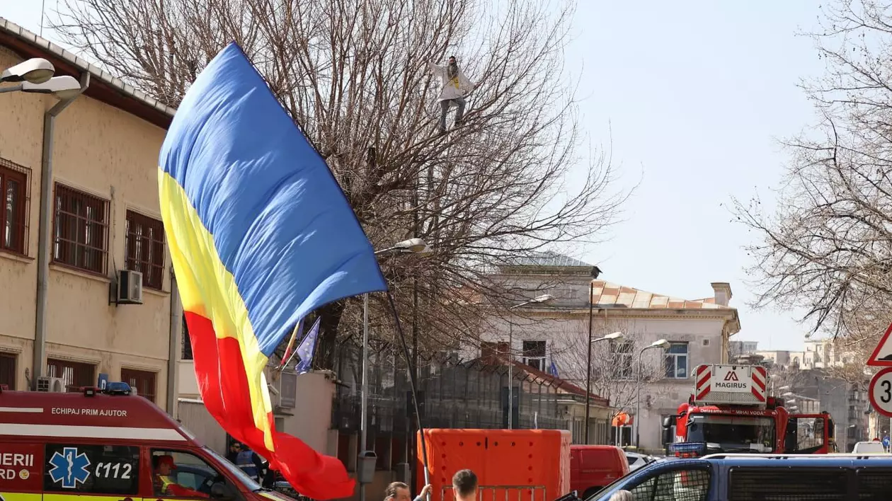Stegarul Dac pe 25 martie, cățărat în copacul unde petrecuse 24 de ore