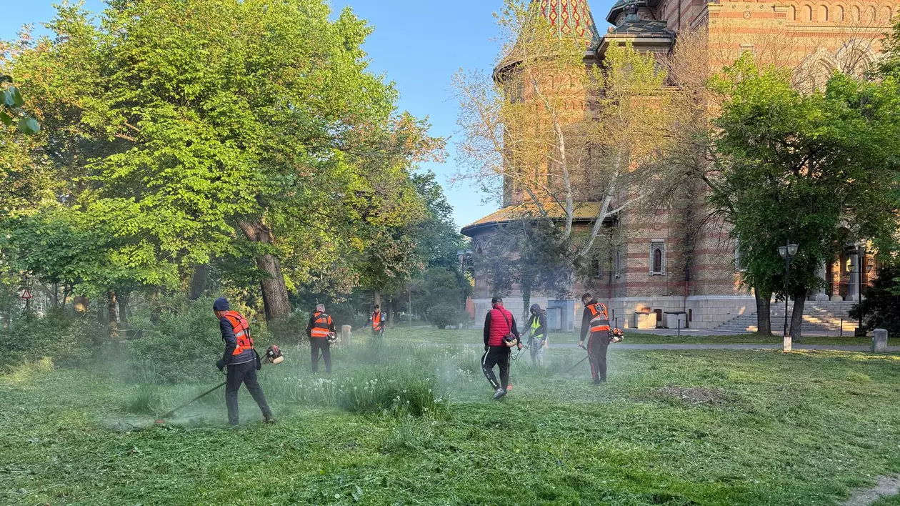 Oameni taie iarba intr-un parc din Timisoara