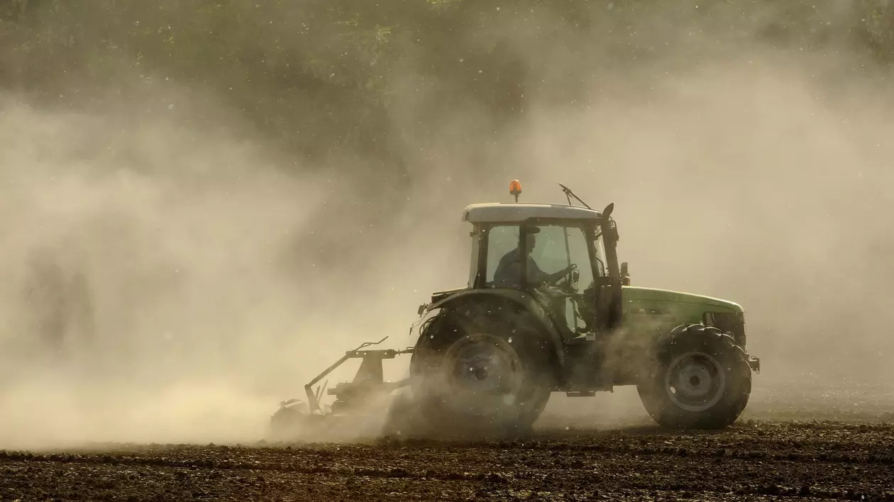 Tractor pe câmp