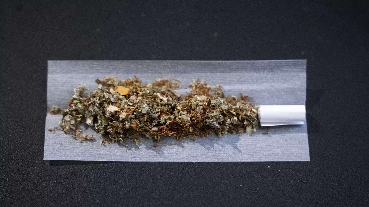 Un amestec de tutun și canabis este pregătit pentru un joint.